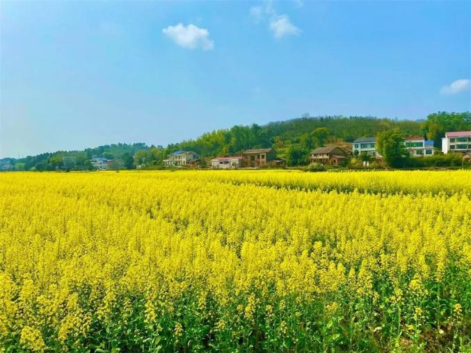 衡陽市衡東縣創建美麗鄉村基本建設項目